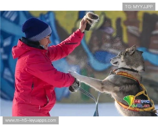 雪橇锦标：俄罗斯队稳居金牌榜，冲击纪录在望！，俄罗斯拉雪橇的狗叫什么